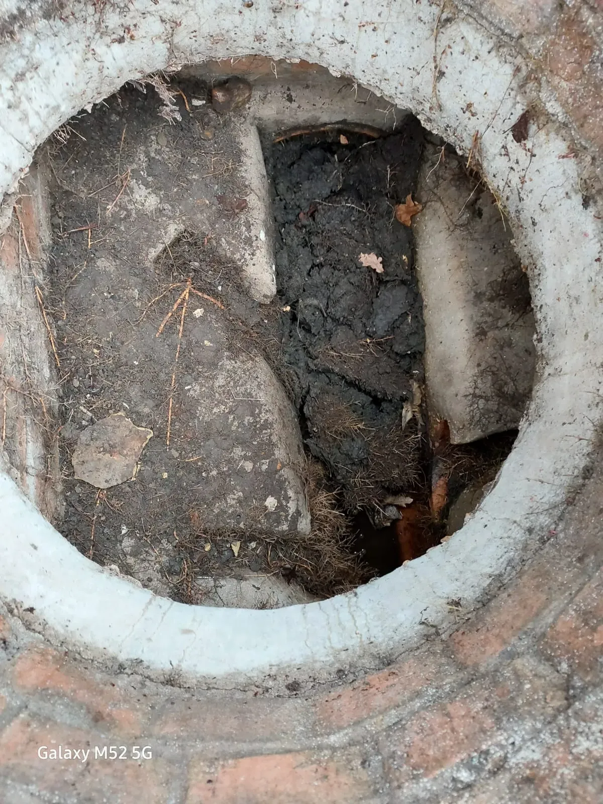 Close-up image of a blocked inspection chamber, filled with dirt, leaves, and a large amount of tree roots obstructing the drainage system.