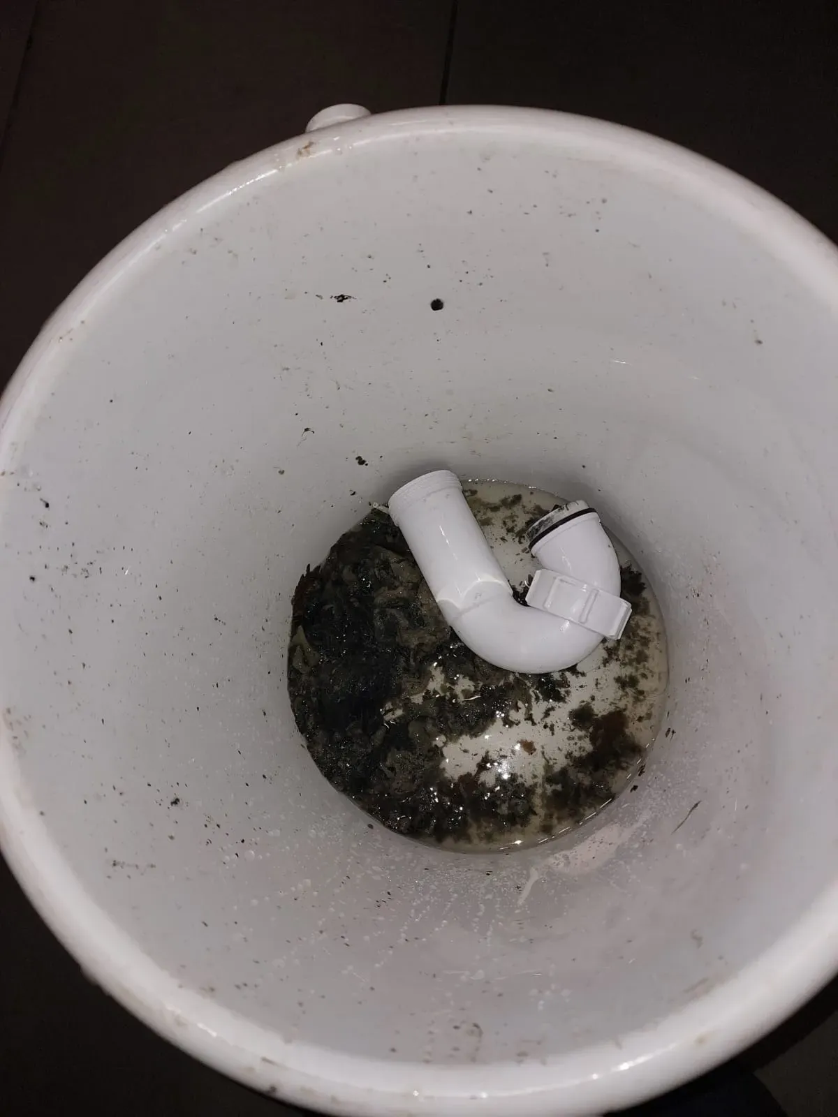 Contents of a cleared blocked drain, including a P-trap and accumulated sludge, in a white bucket.